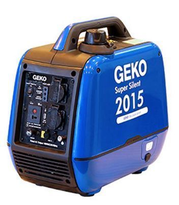 geko2015.jpg