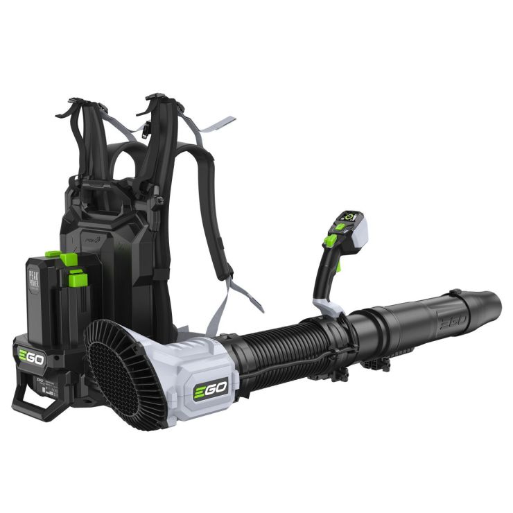 LBPX1100_3__58985.jpg